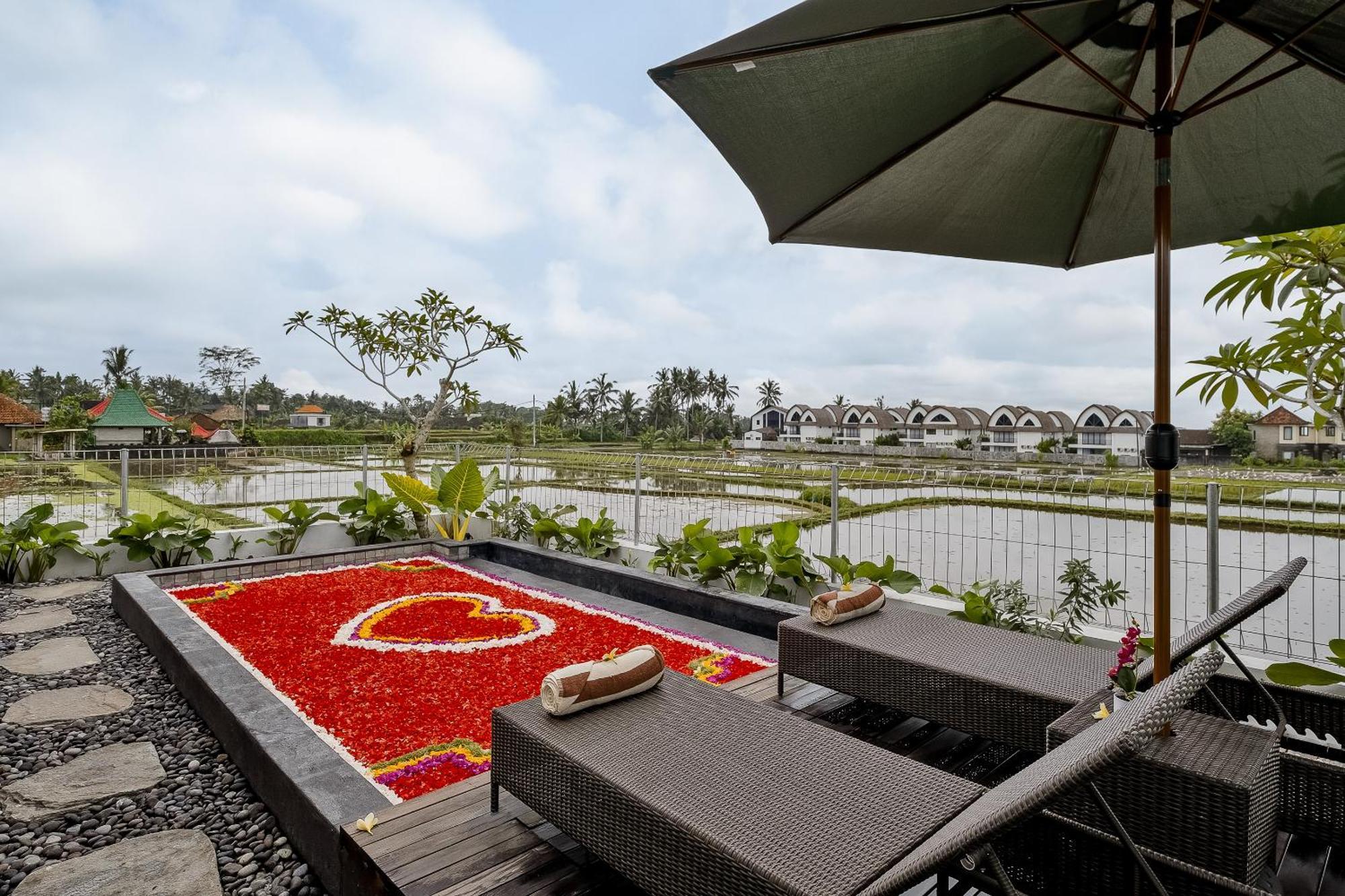 Sheva * Ubud