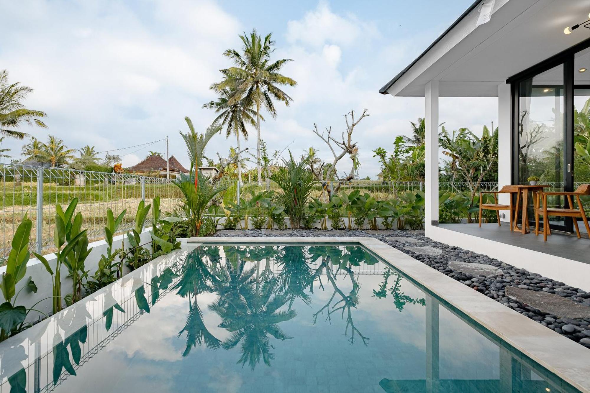 Sheva * Ubud